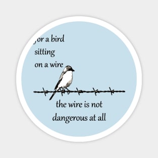 For A Bird Sitting On A Wire The Wire Is Not Dangerous At All Magnet